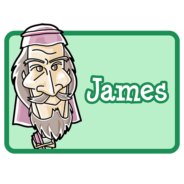 Apostle James